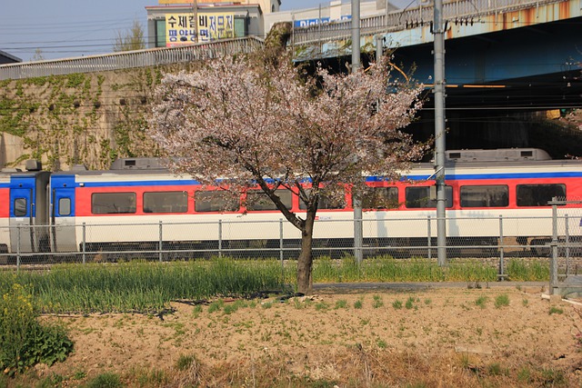 “용산_군산_장항선_열차시간표_4”