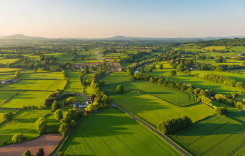 지역마다 다른 조례