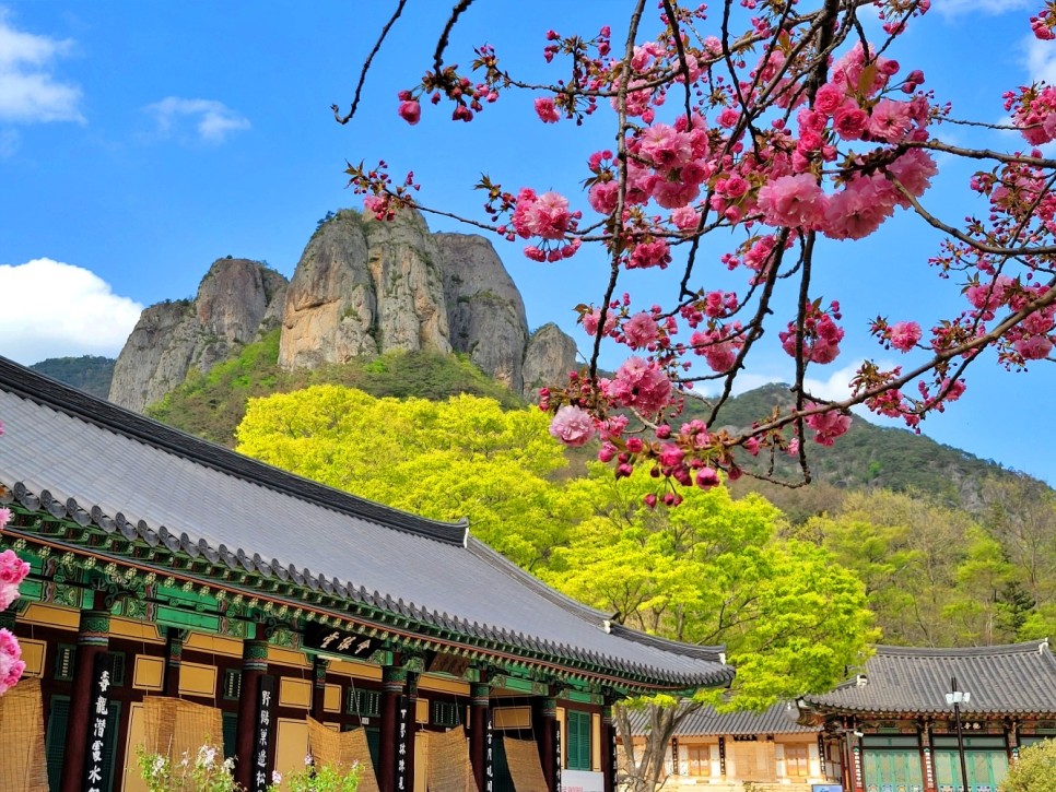 주왕산국립공원