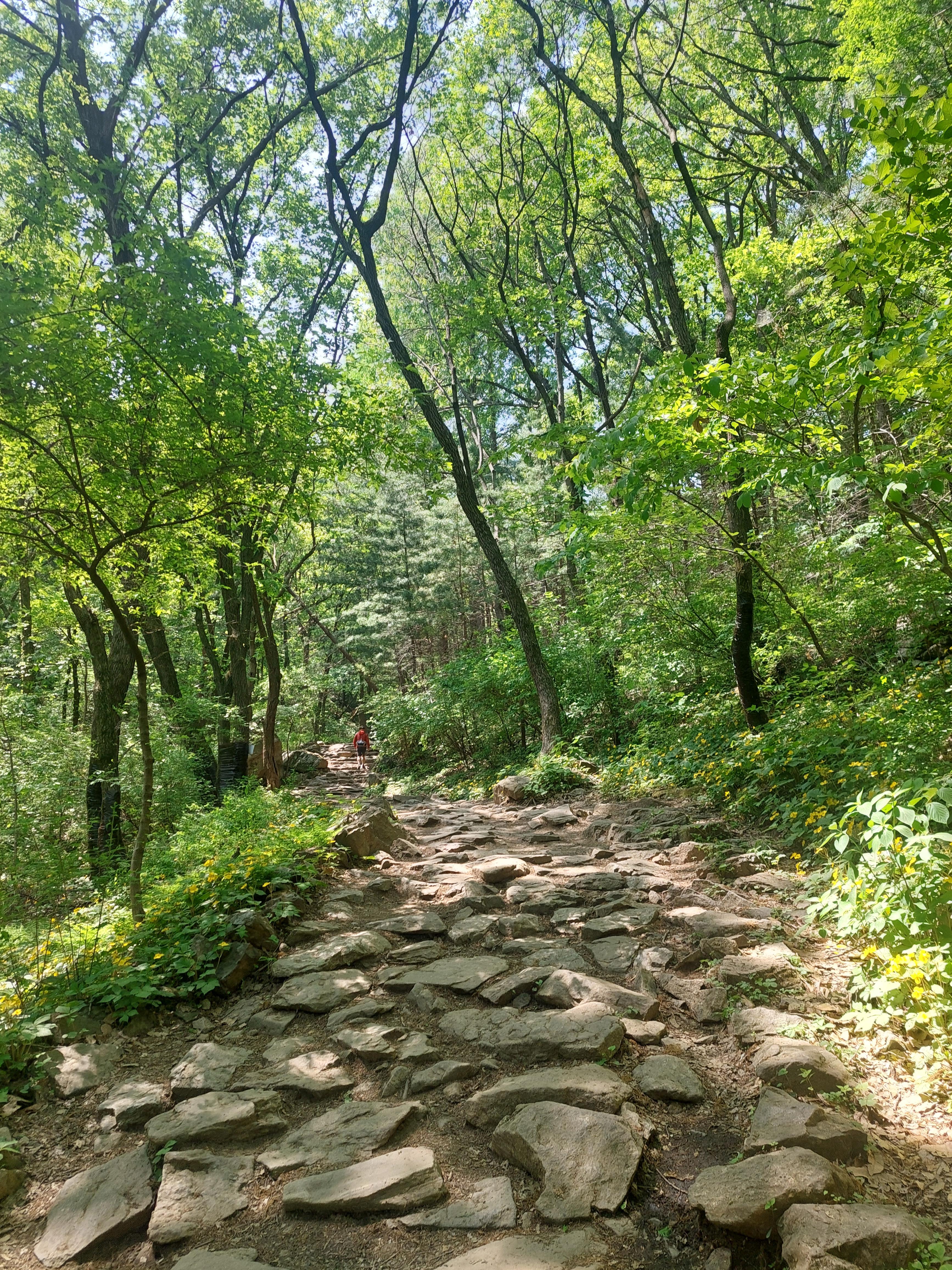 청계산 옥녀봉