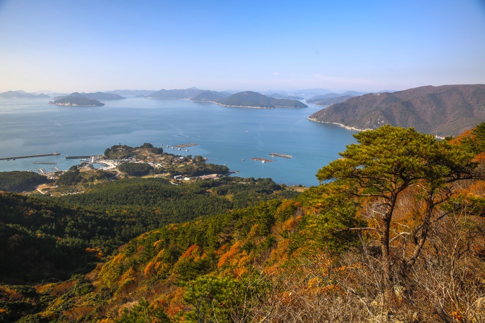 가을단풍드라이브