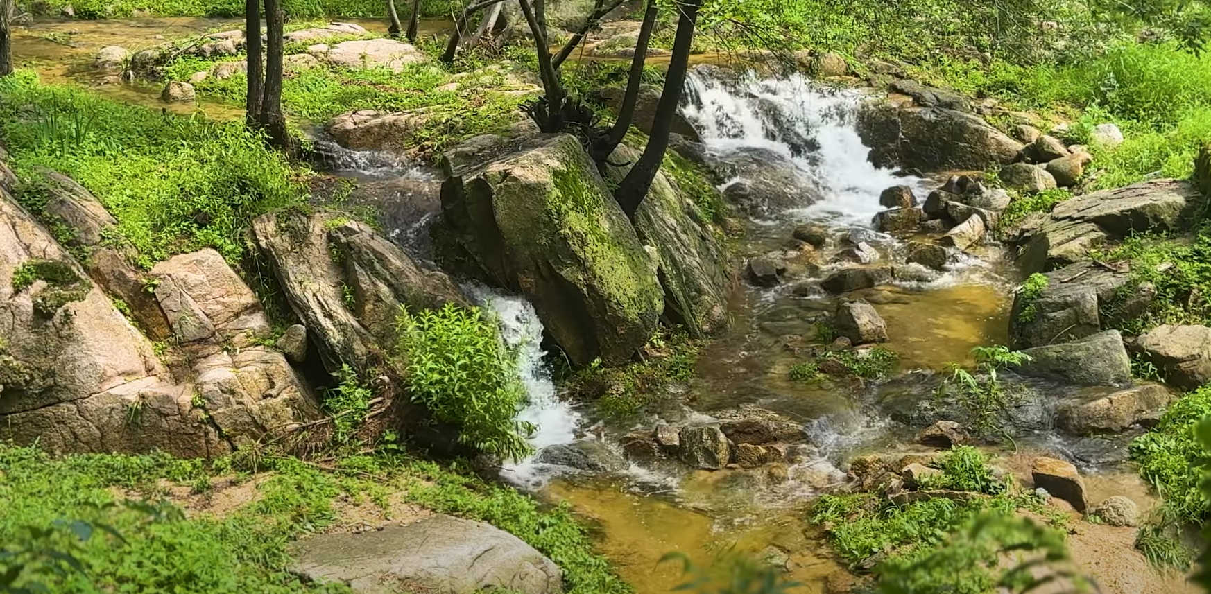 수성동계곡: 도심 속 자연의 오아시스
