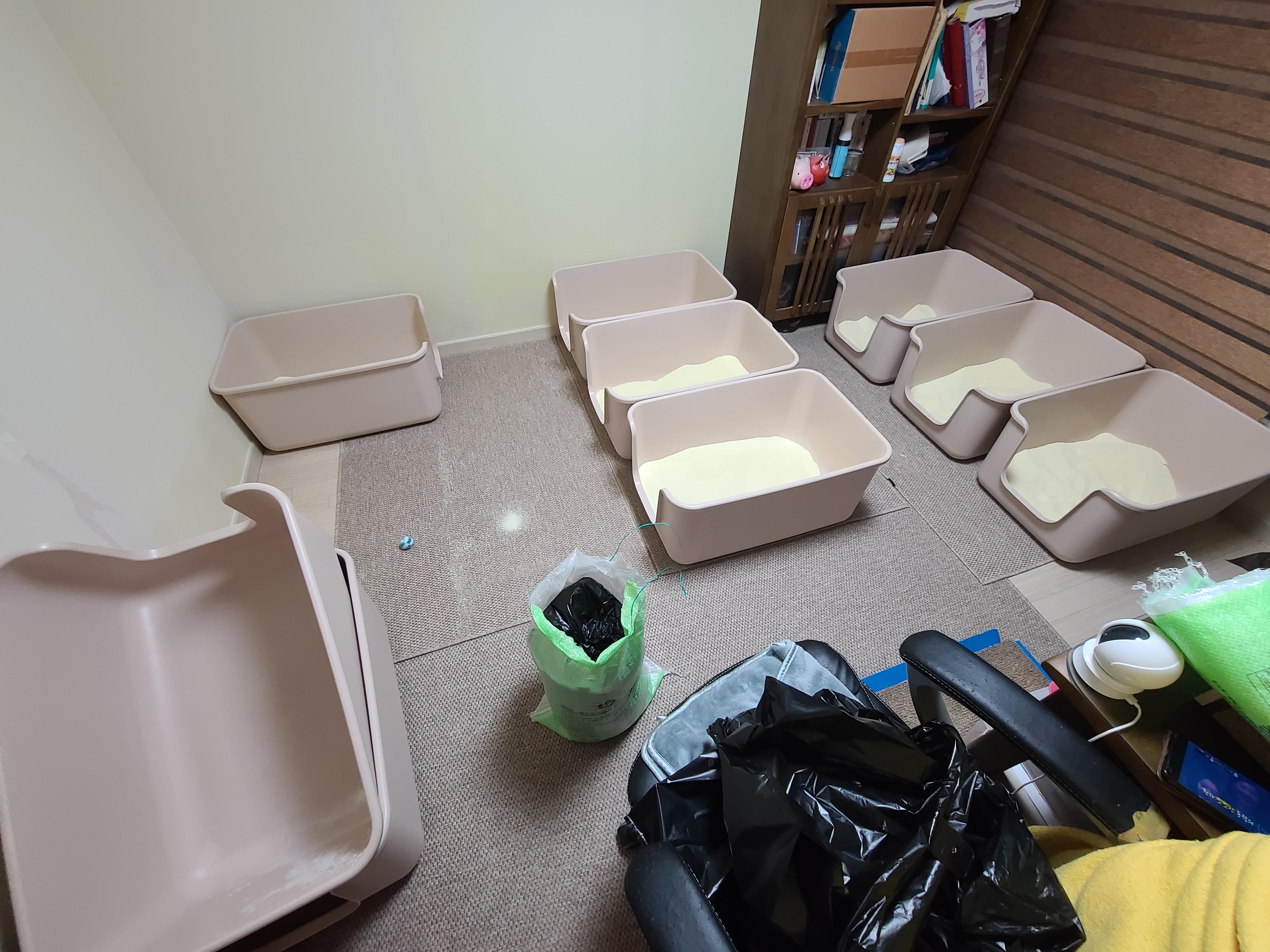 그날이 다가왔다! 아이들 화장실모래전체갈이!!