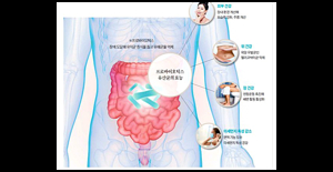 면역력 영양제