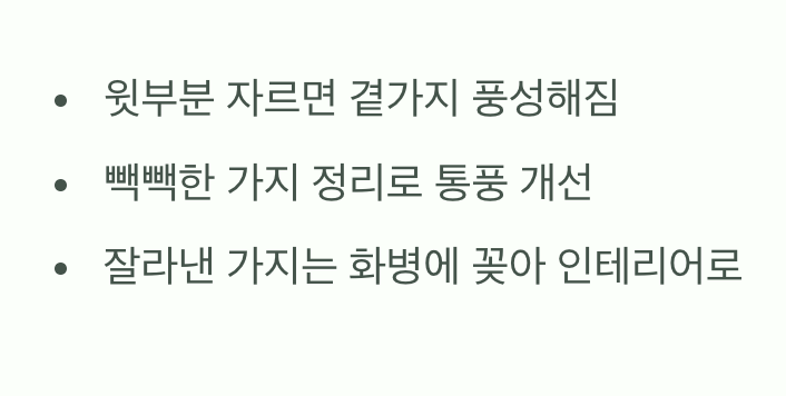 예쁘고 건강하게&amp;#44; 가지치기의 마법