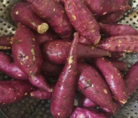 Alt 속성 문제 해결 설명 이미지