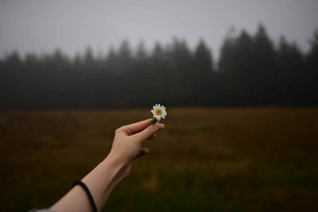 Hope Account