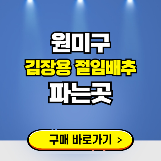 원미구 절임배추 사전예약 구입하는곳 ❘ 김장배추 파는곳 가격보기
