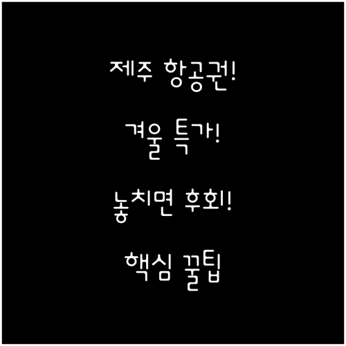 2025년 제주 겨울 여행 항공권 특..