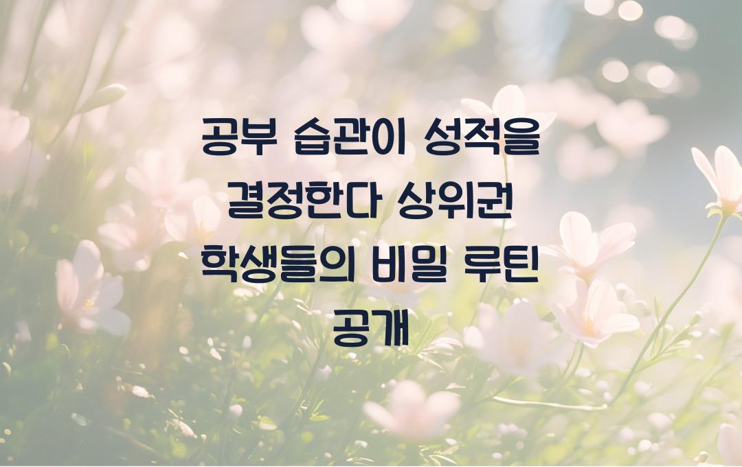 공부 습관이 성적을 결정한다! 상위권 학생들의 공부 루틴 공개