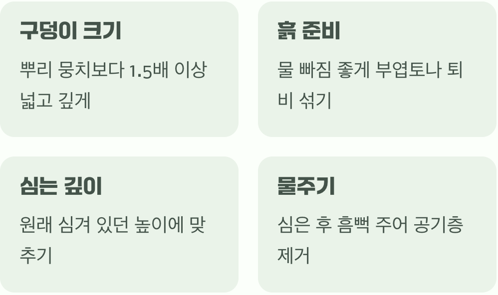 시기보다 중요한 기본 원칙