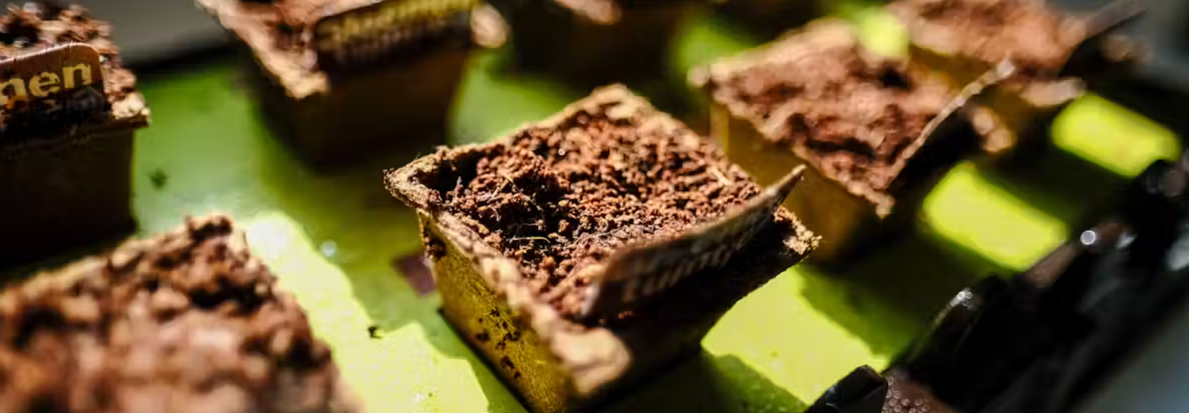 아보카도, 쵸코브라우니