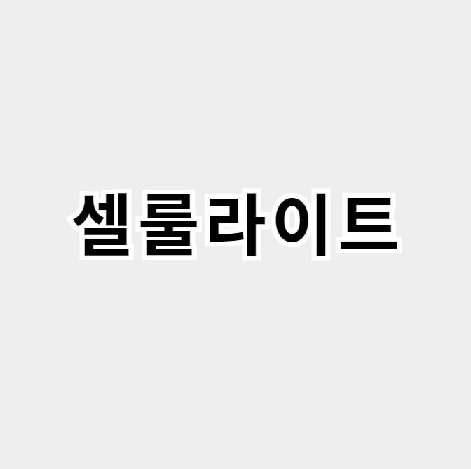 셀룰라이트