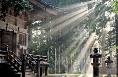 일본 지진 여행 취소