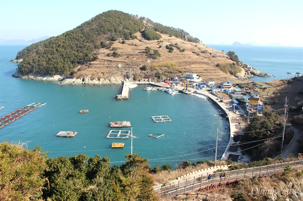 통영 연화도 수국 꽃길 산책 코스와 최적 관람 시기_7