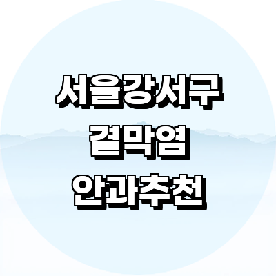 서울 강서구 안과