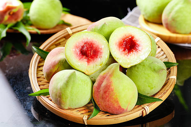 개복숭아효소의 효능 천연 발효가 선물하는 건강의 비밀