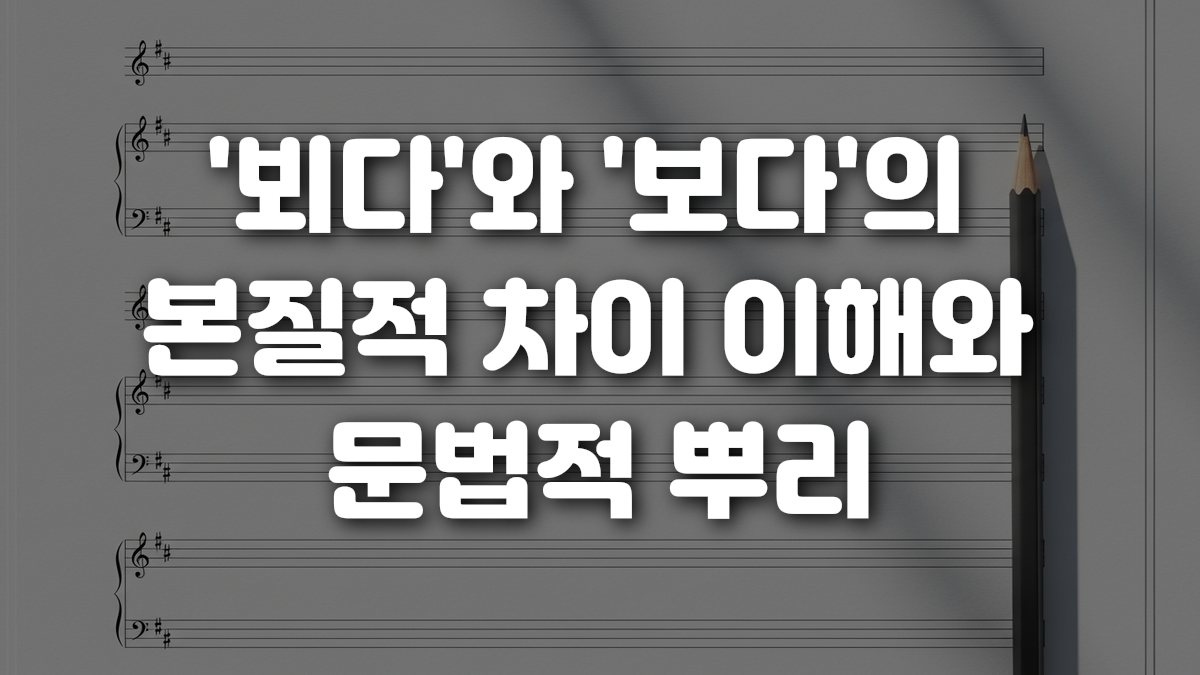 뵈다 와 보다 의 본질적 차이 이해와 문법적 뿌리
