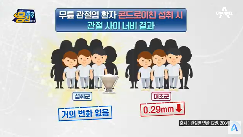 콘드로이친 효능 부작용 복용법