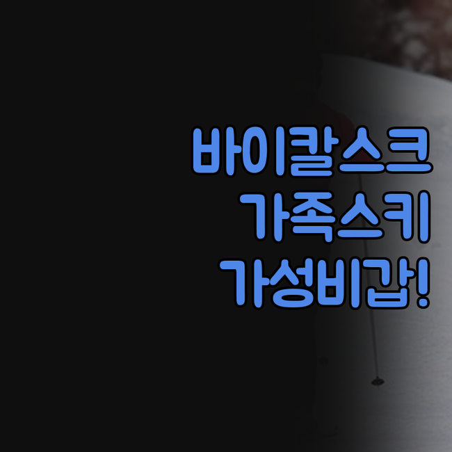 바이칼스크 호텔 추천 가족 스키 가성..