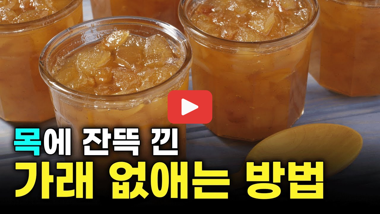 기침에 좋은 차 가래에 좋은 차 기관지에 좋은 차 추천