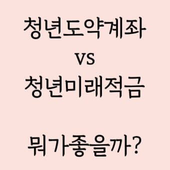 청년도약계좌 청년미래적금
