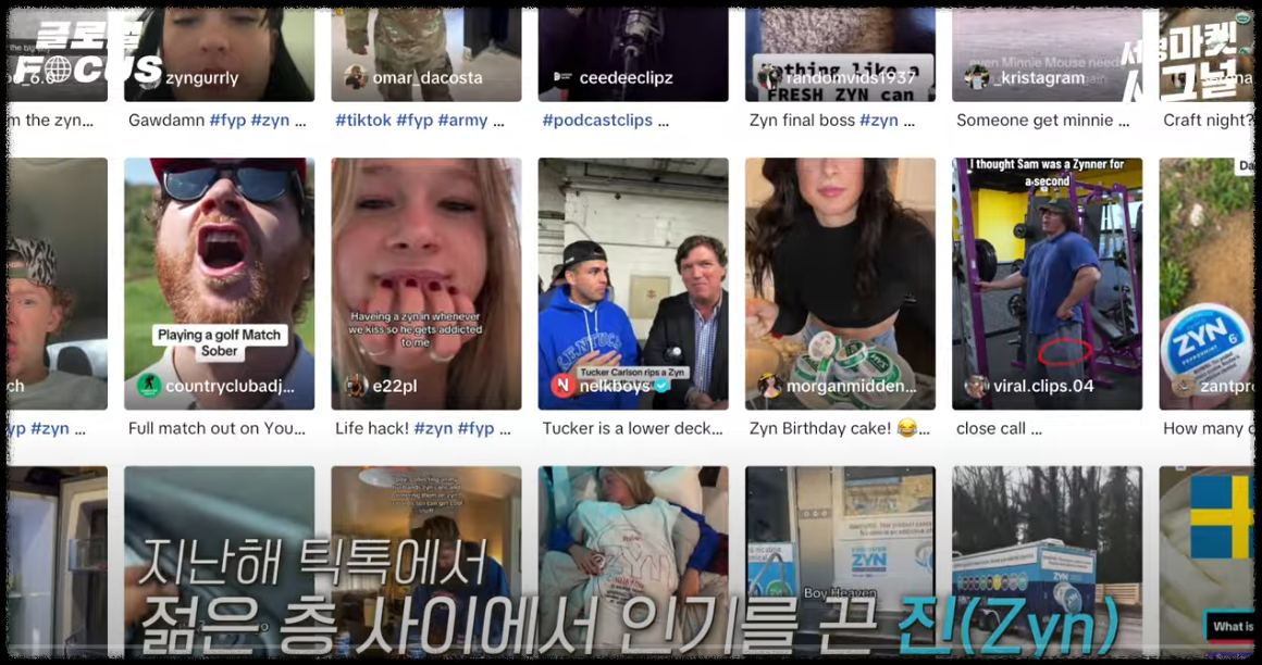 틱톡에 소개되는 니코친 파우더 진(ZYN)