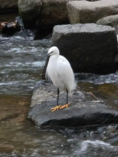 청계천 윈터페스타 인생샷 명소 BEST 5