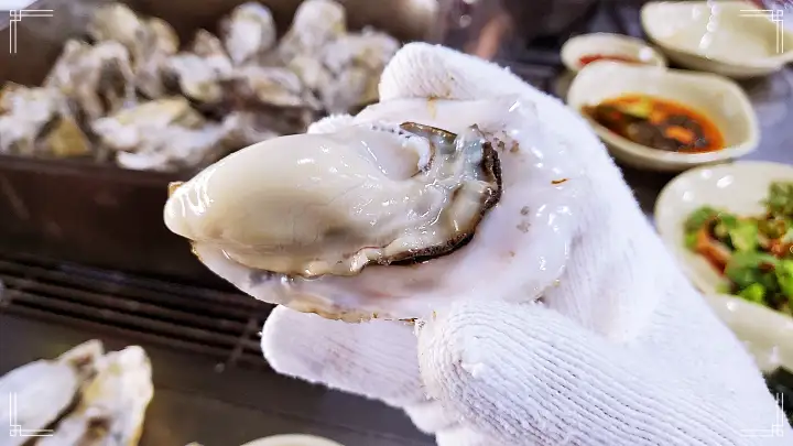 진심 가득 건강 담은 맛 여수 맛집 추천 생방송투데이 굴 구이 오늘방송 자족식당