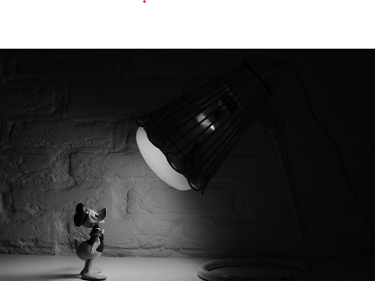 실사 영화 vs 애니메이션, 꽃을 활용한 연출 차이