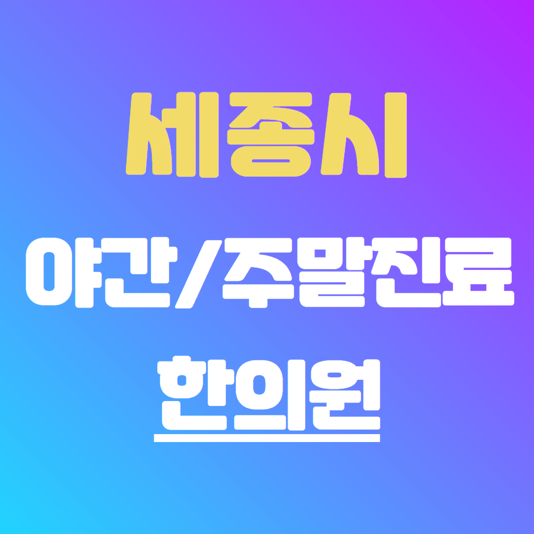 세종시 야간 주말 진료 한의원