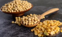 병아리콩 후무스