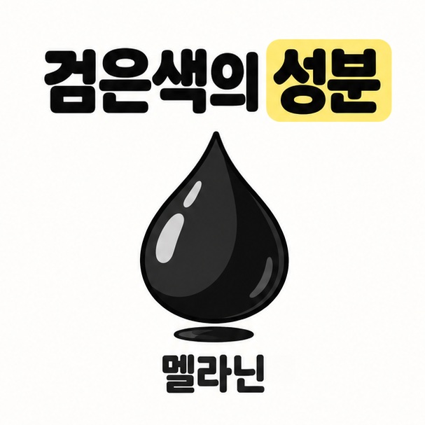 먹물의 검은색을 만드는 멜라닌을 설명하는 먹물 방울 그림