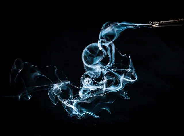 당진해나루황토고구마 홍보판촉행사 축제 장소로 안내_5