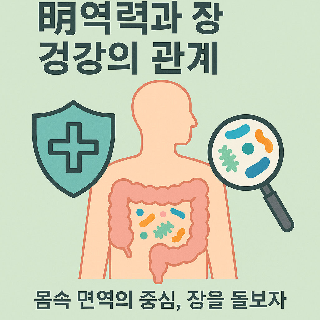 면역력과 장 건강의 관계