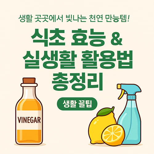 [식초 활용법] 단순 조미료를 넘은 만능 생활템! 청소, 다이어트, 피부관리까지