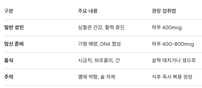 엽산 효능