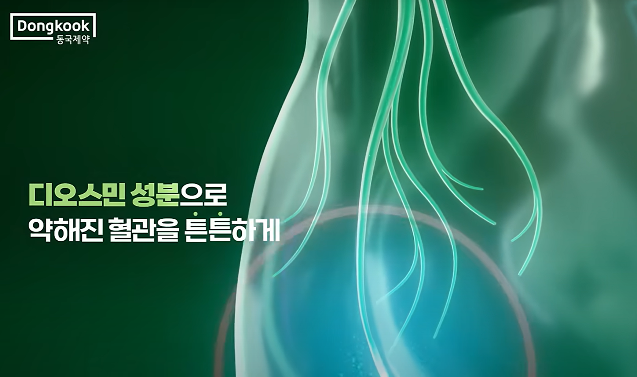치센 가격