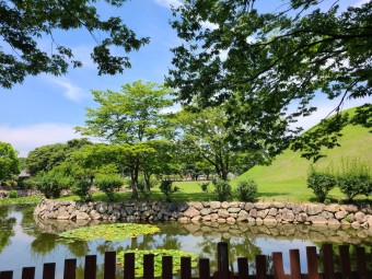 8월에 가볼만한 국내여행지