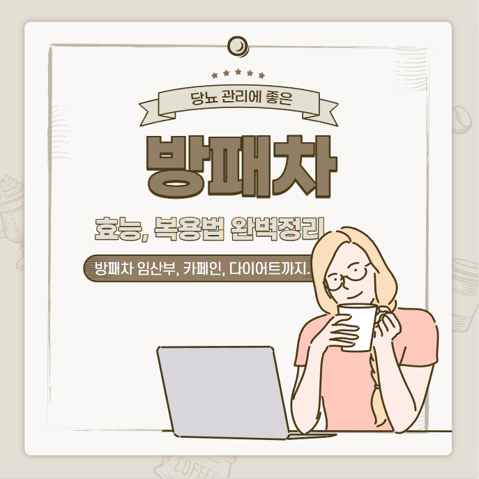 방패차 효능 복용법 완벽정리(방패차 임산부 카페인 다이어트)