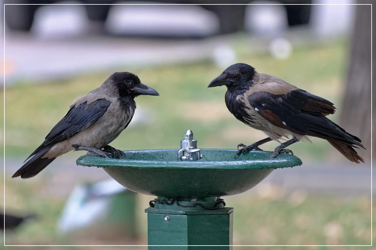 에어컨 무상 점검 안내