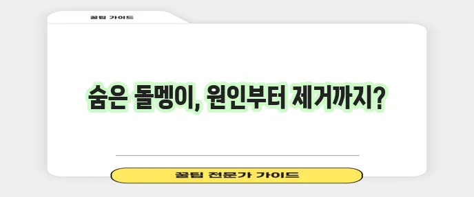 편도결석 제거법 원인 증상 확인법과 비용까지 알아봅시다!