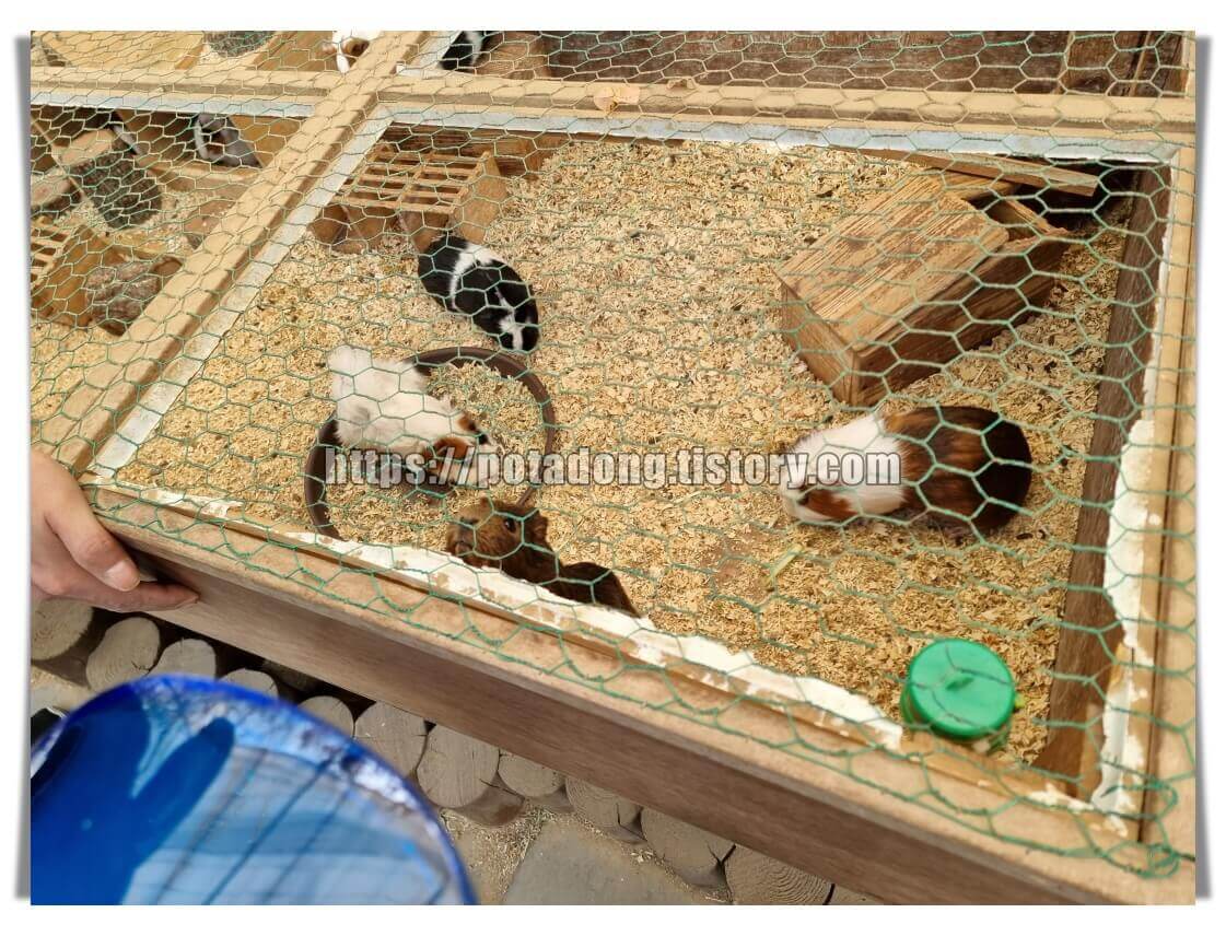 동천자연식물원