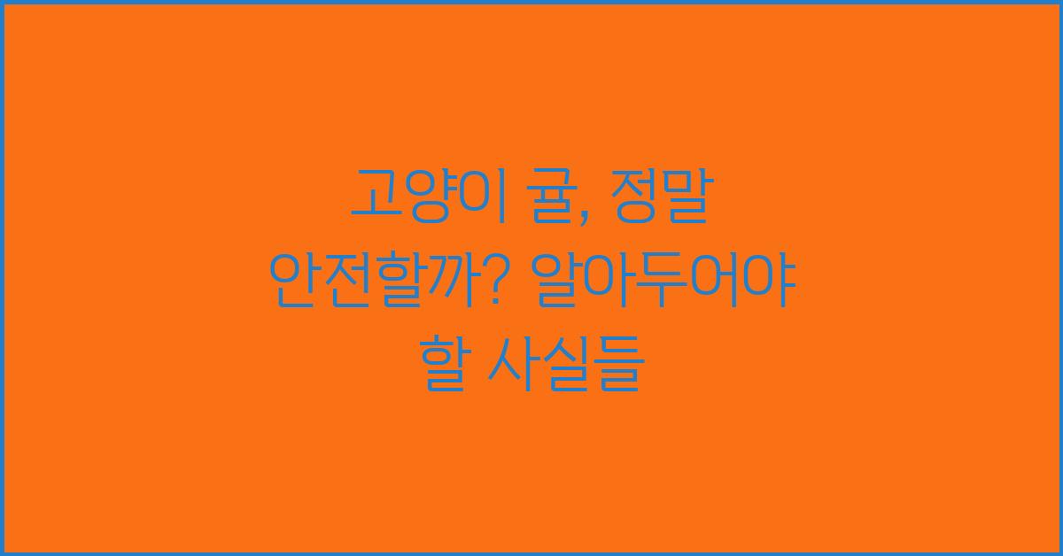 고양이 귤