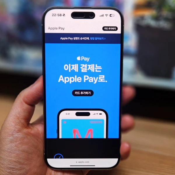 애플페이-카드사-확대