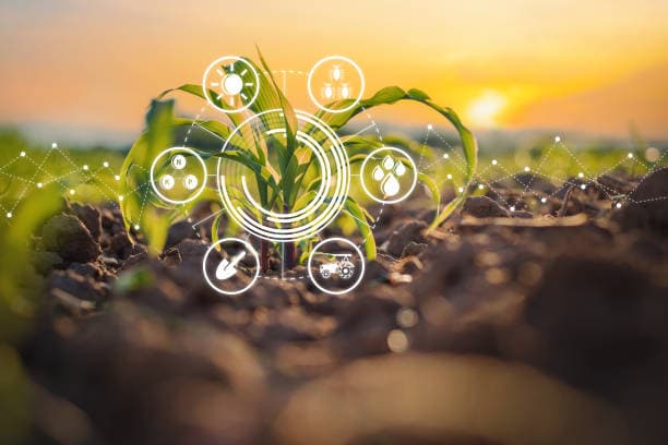 에너지 절약형 도시 농업 프로젝트의 경제적 이점