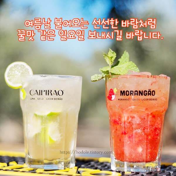 일요일 인사 이미지