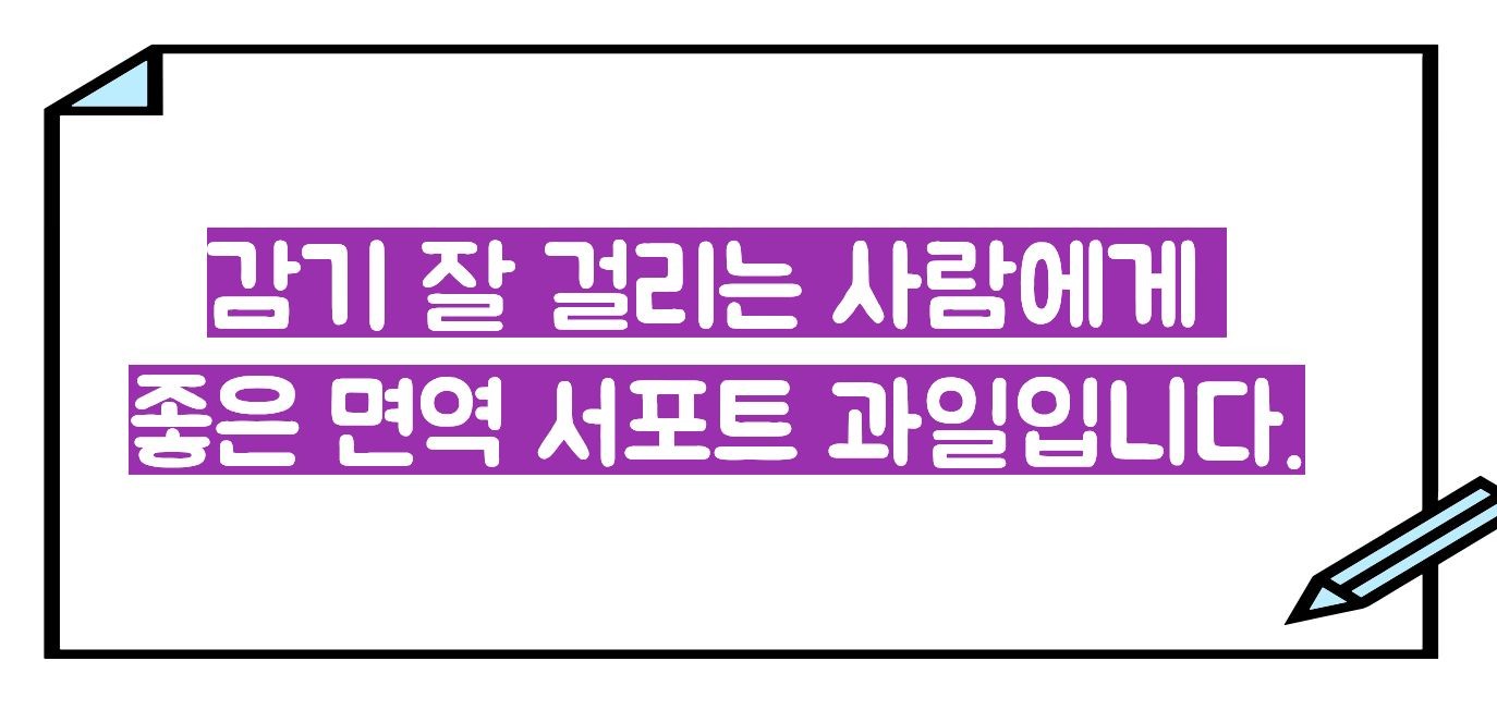 블루베리 효능 부작용