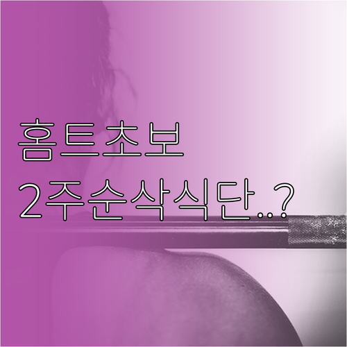 홈트 초보를 위한 2주 집중 다이어트..
