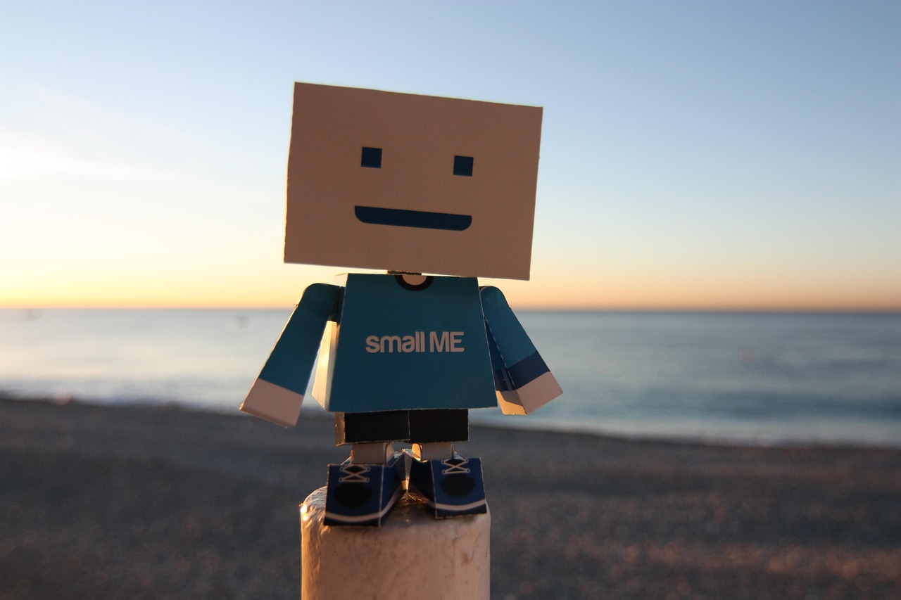 SMALL ME 라고 씌여있는 옷을 입고있는 레고 캐릭터 사진